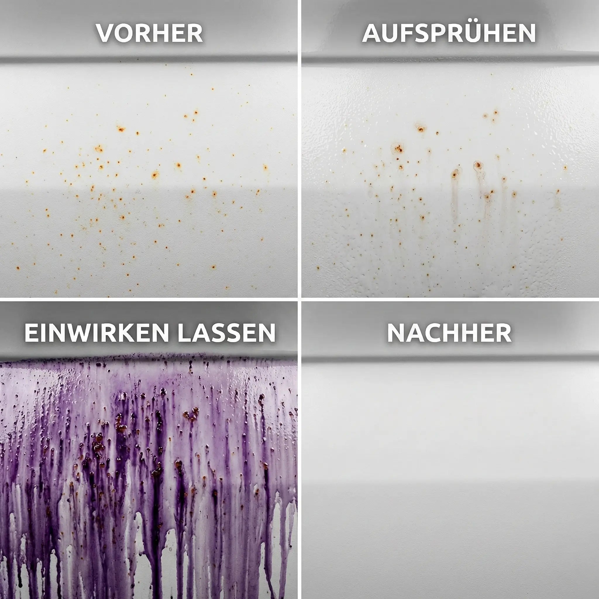 Flugrost Entferner