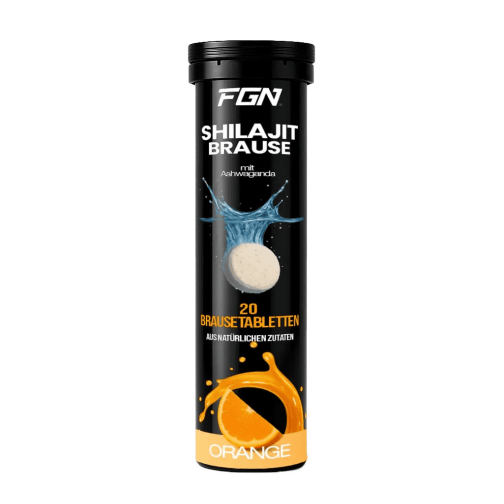 FGN Shilajit 20 Brausetabletten