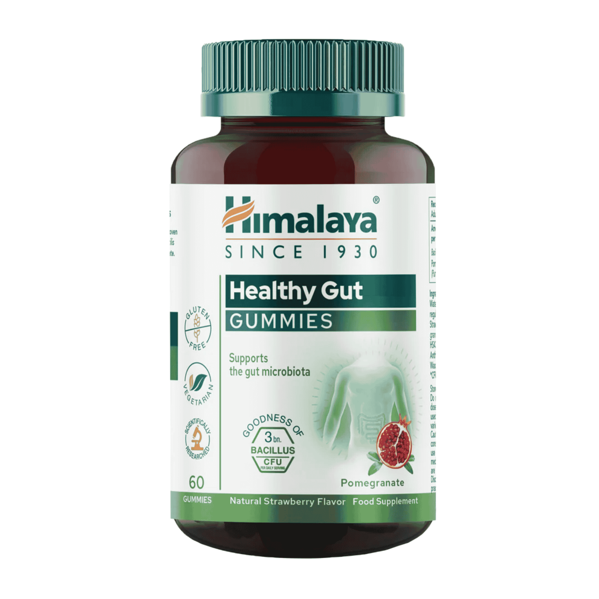 Himalaya Healthy Gut 60 Gummies